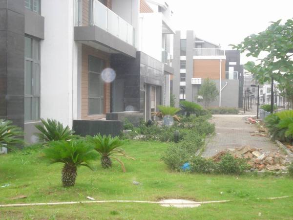 CRIC2ce6c8fd5ccf451a809f219d355bf961_600X450_0_0_0.jpg