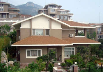 ı