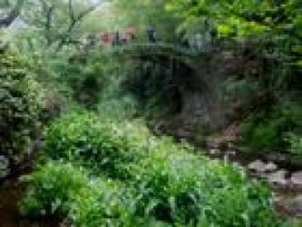 铁岭校区二手房 2室1厅1卫 61平 100万元\/套 高