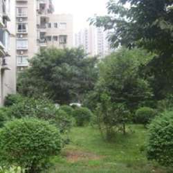 小区图_实景图_户型图 - 重庆新浪二手房