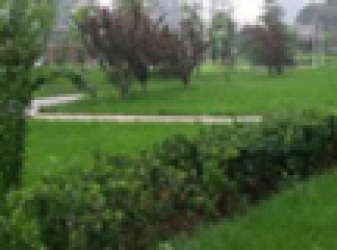 【苏家屯50-70平米二手房|沈阳50-70平米二手