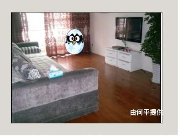 金林俊景出租 78平 2100元\/月 外双楠 清水河旁