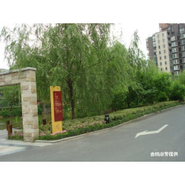 LESF5d38124e8405e2054db3a2481fce3c79_270X270_0_0_4.jpg