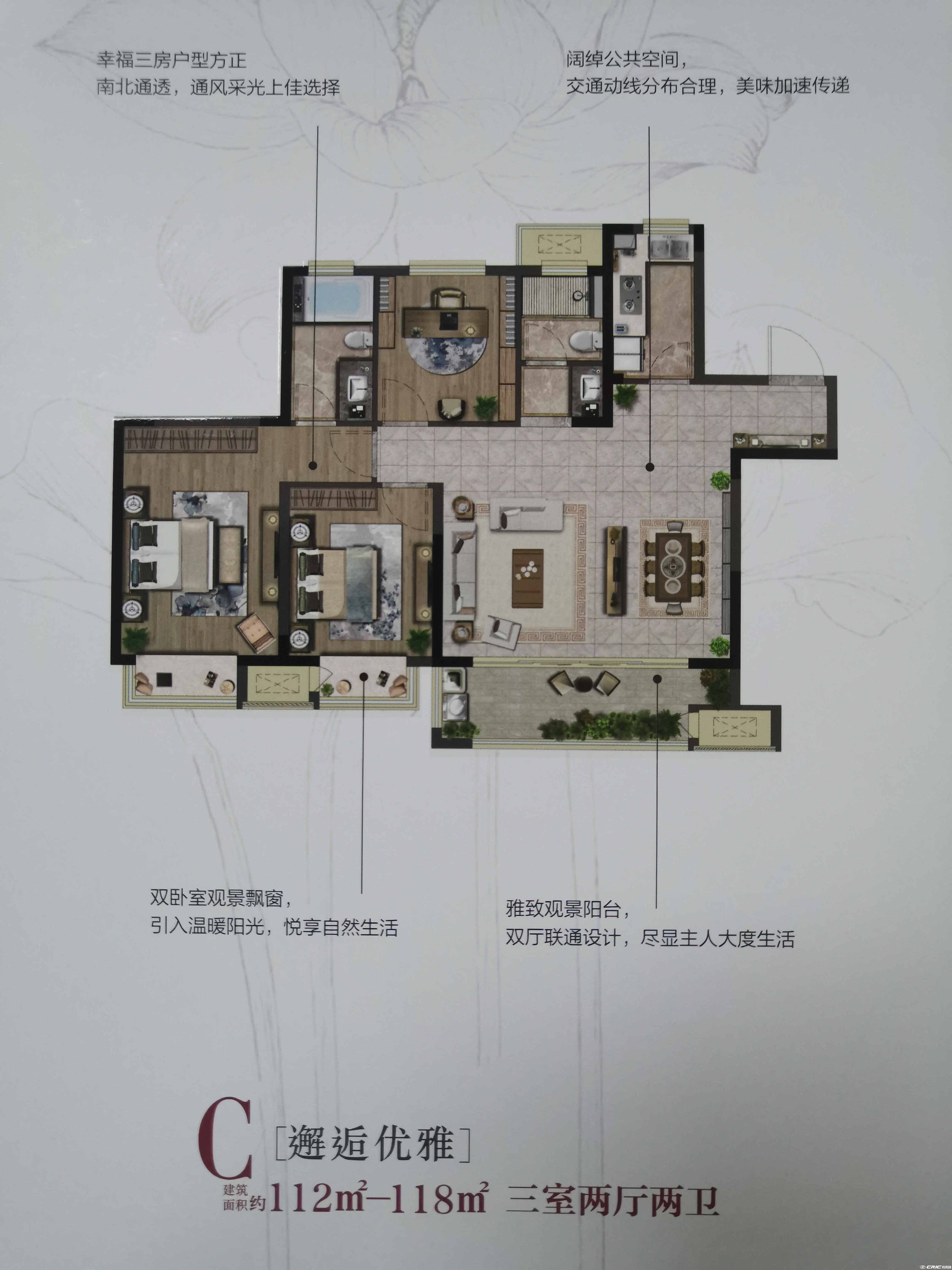 C户型图