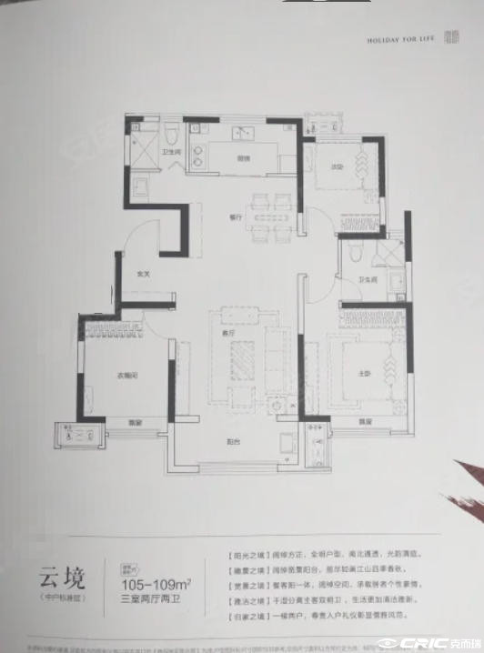 C户型图