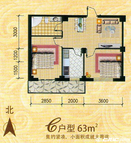 C户型图