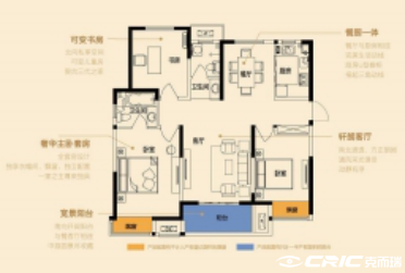 C1户型图