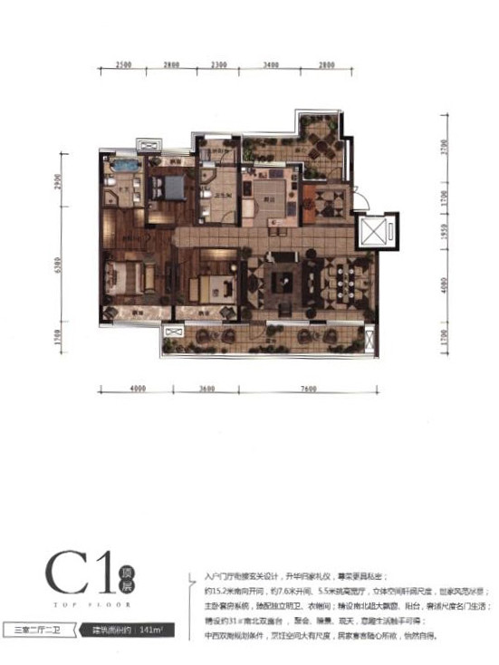 C1-1户型户型图