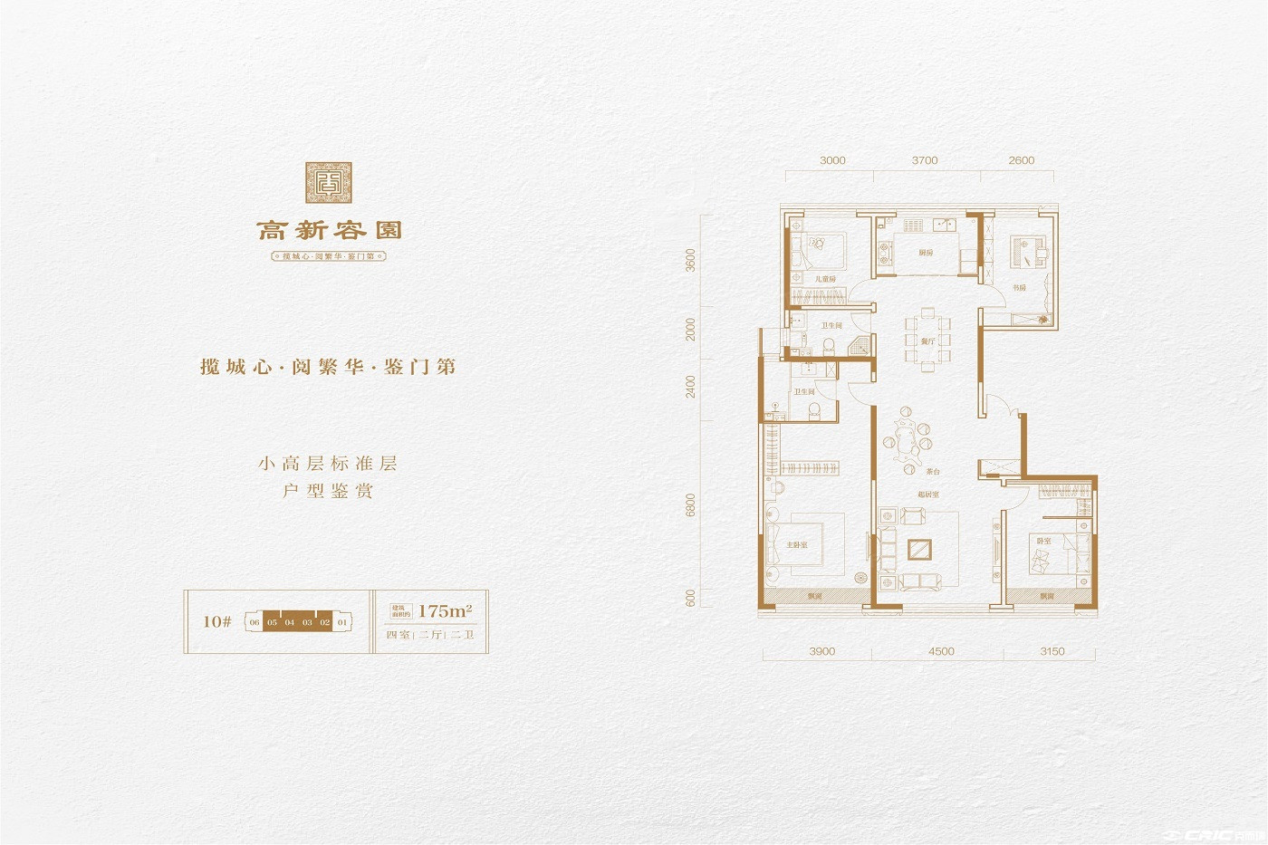 175户型图