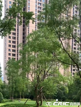 龙湖江与城
