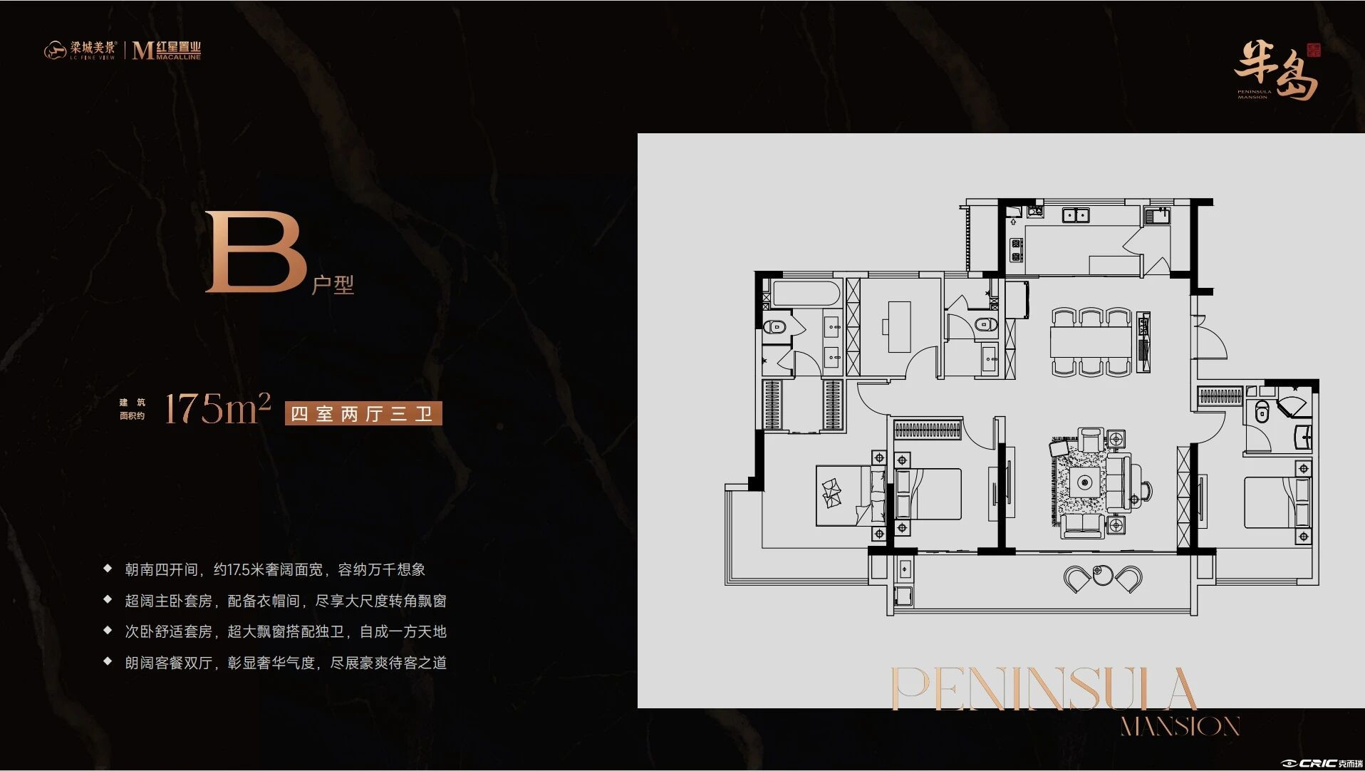 B户型 约175㎡户型图