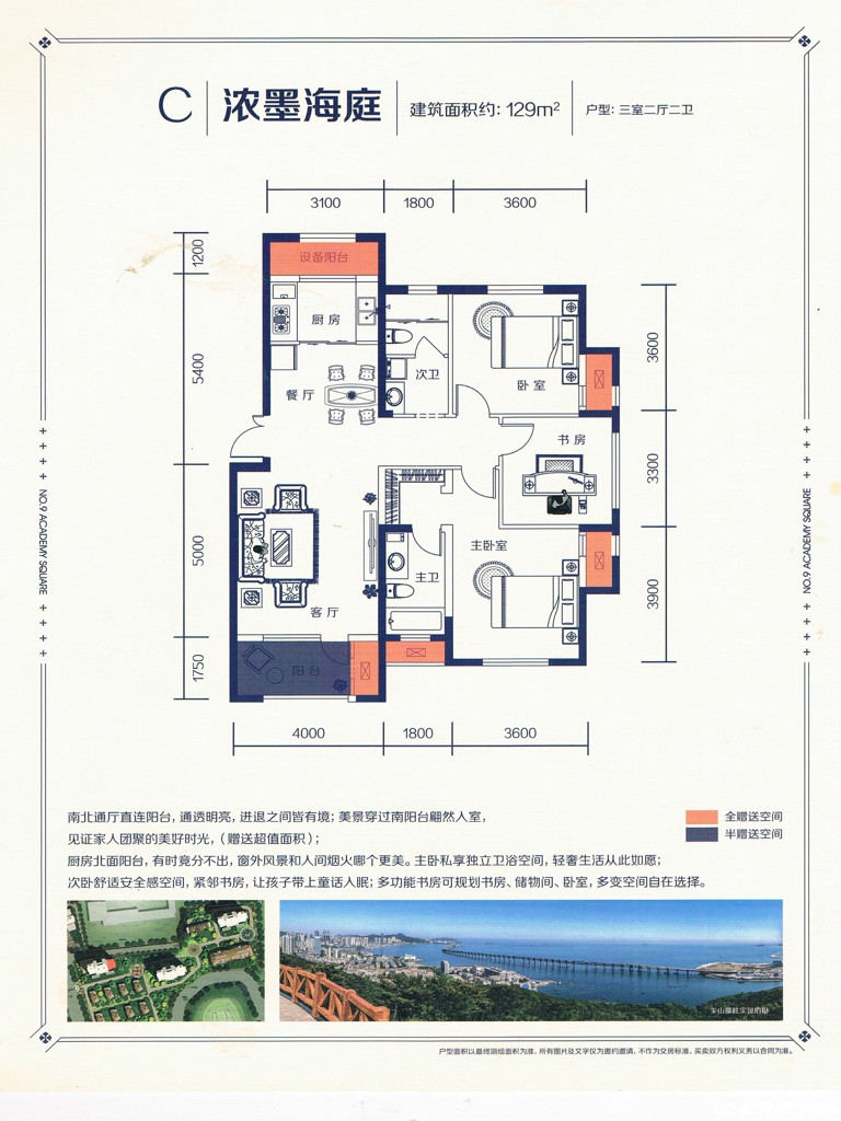 C户型图
