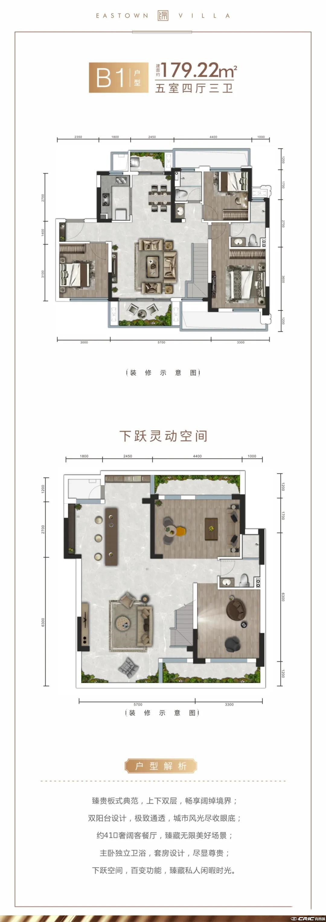 B1户型-179㎡户型图