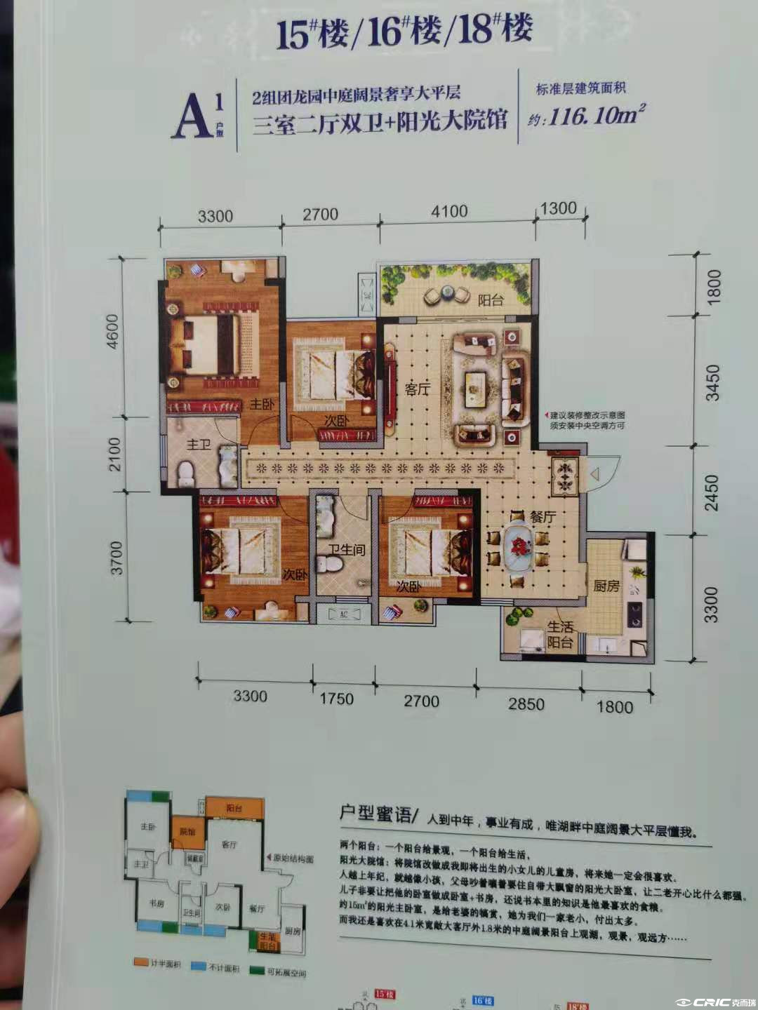 D116户型图