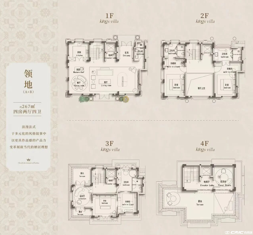 联排户型图