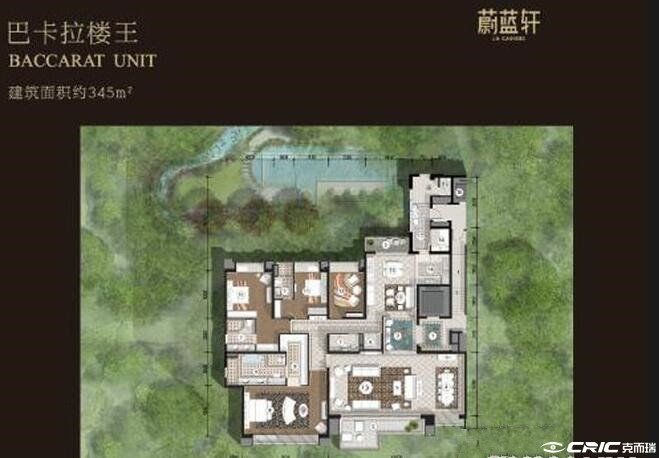 D户型图
