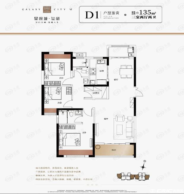 D1户型图