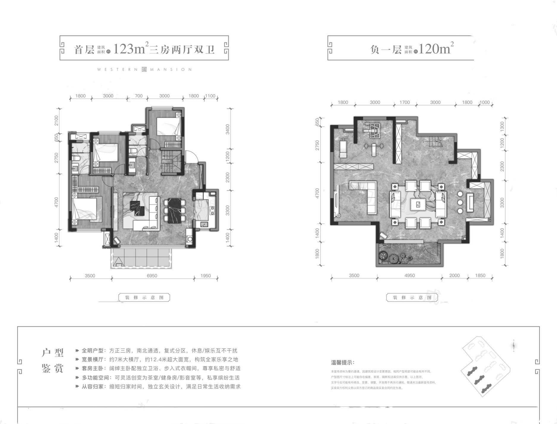 243户型图