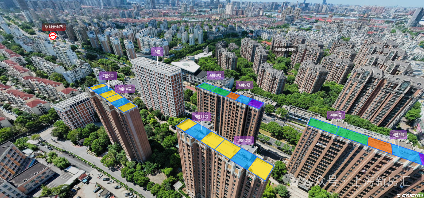金杨易庭