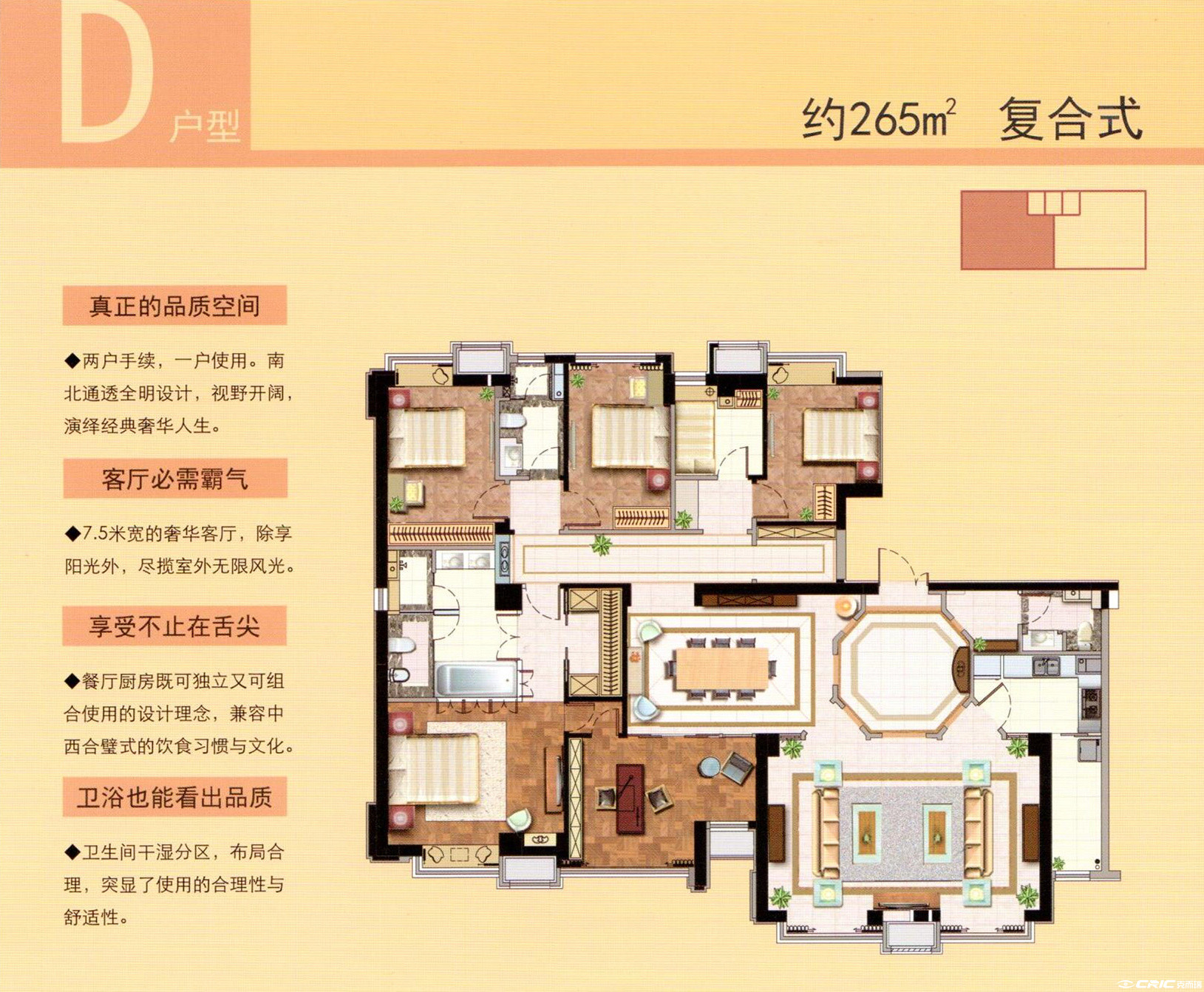 D户型图