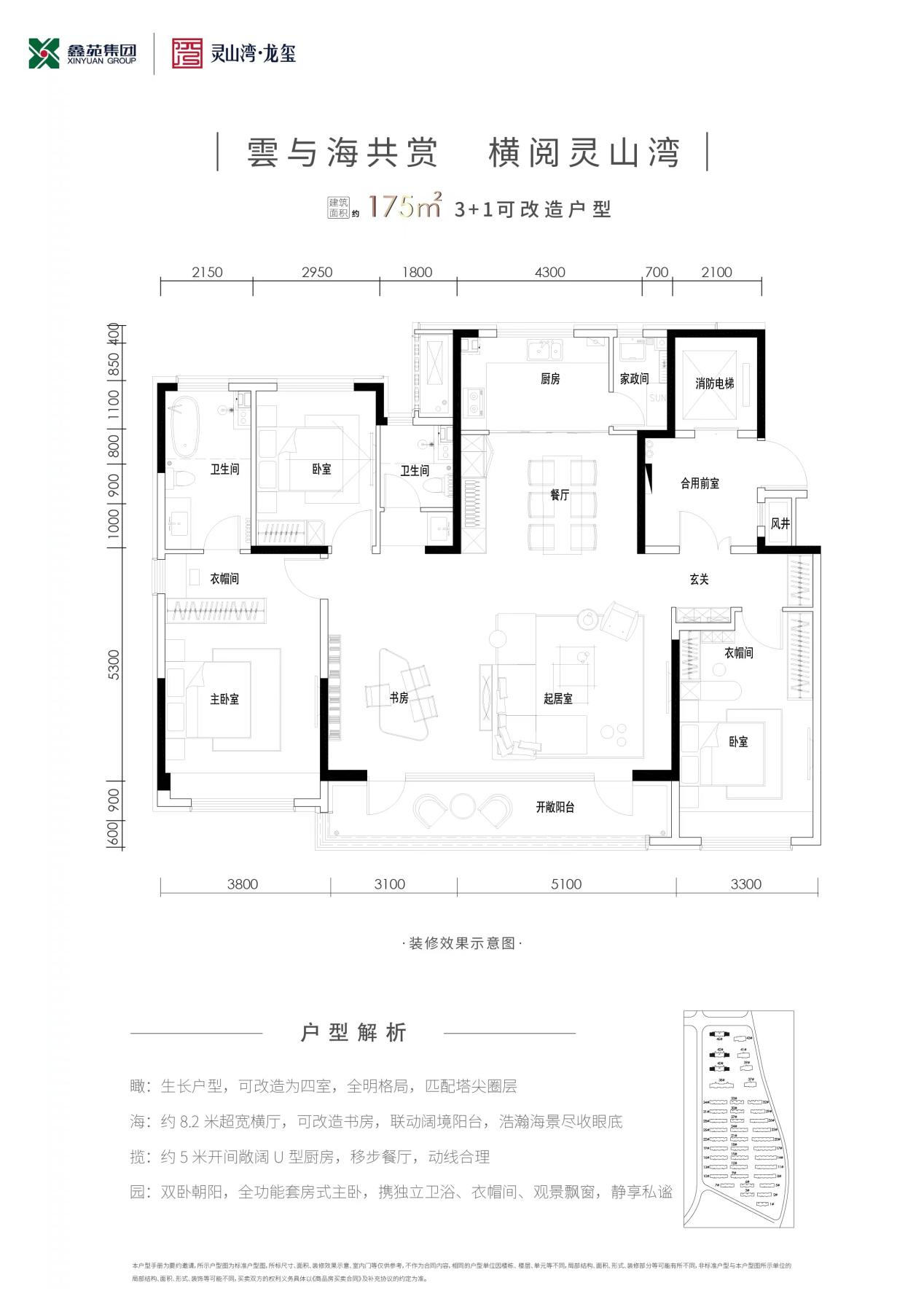 175户型图