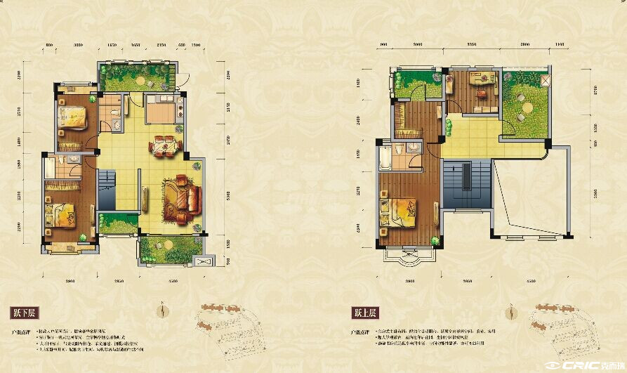 A顶跃户型图