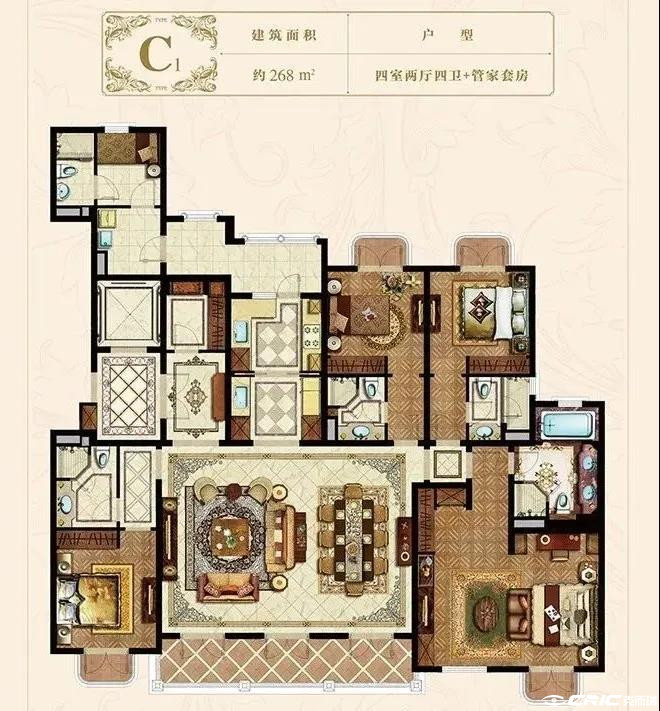 C1户型图