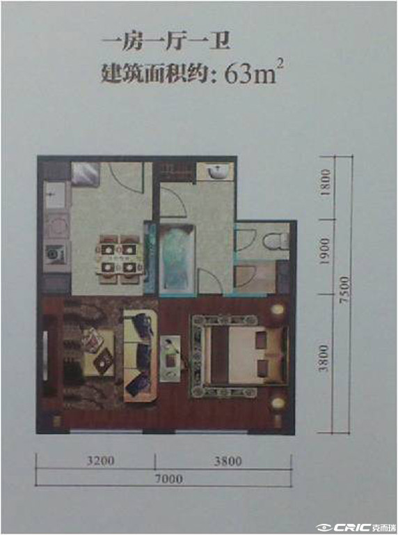 C户型图