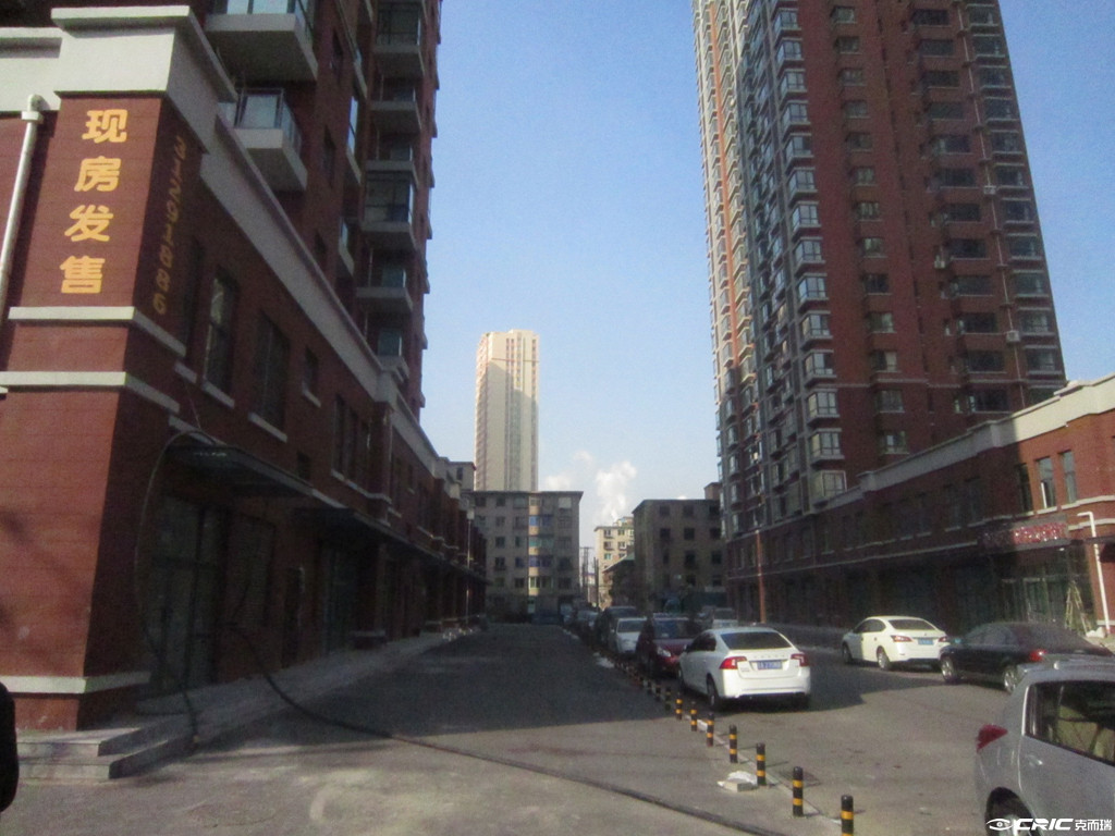 城市玫瑰园 效果图
