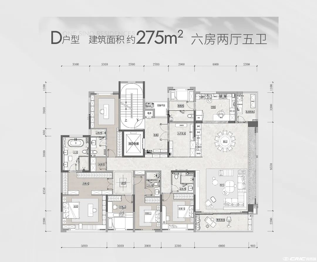 D户型图