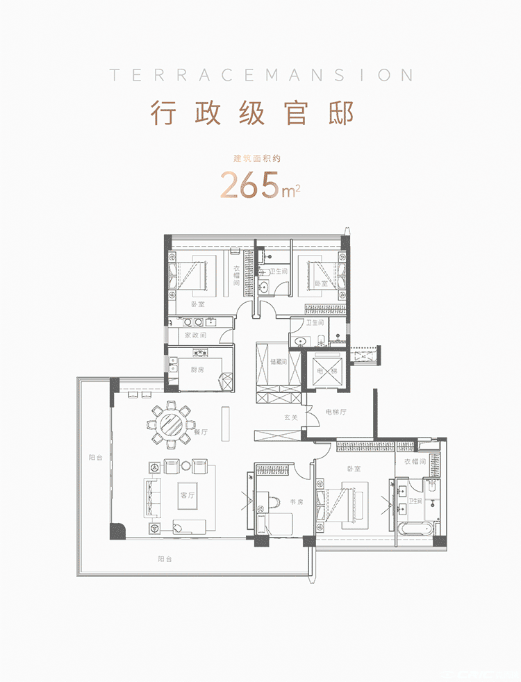 D03户型图