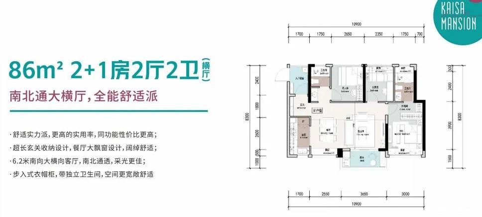 C3户型图