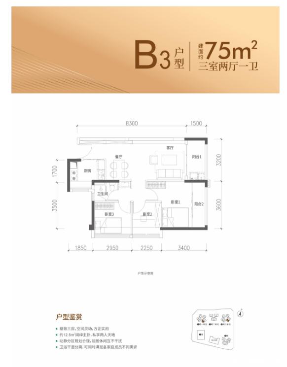 B3户型图