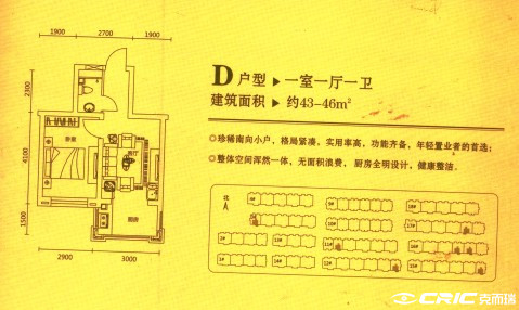 D户型图