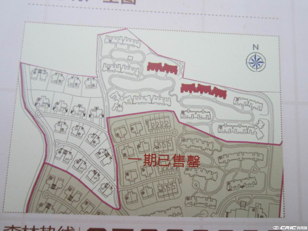 丽日坚美森林湖