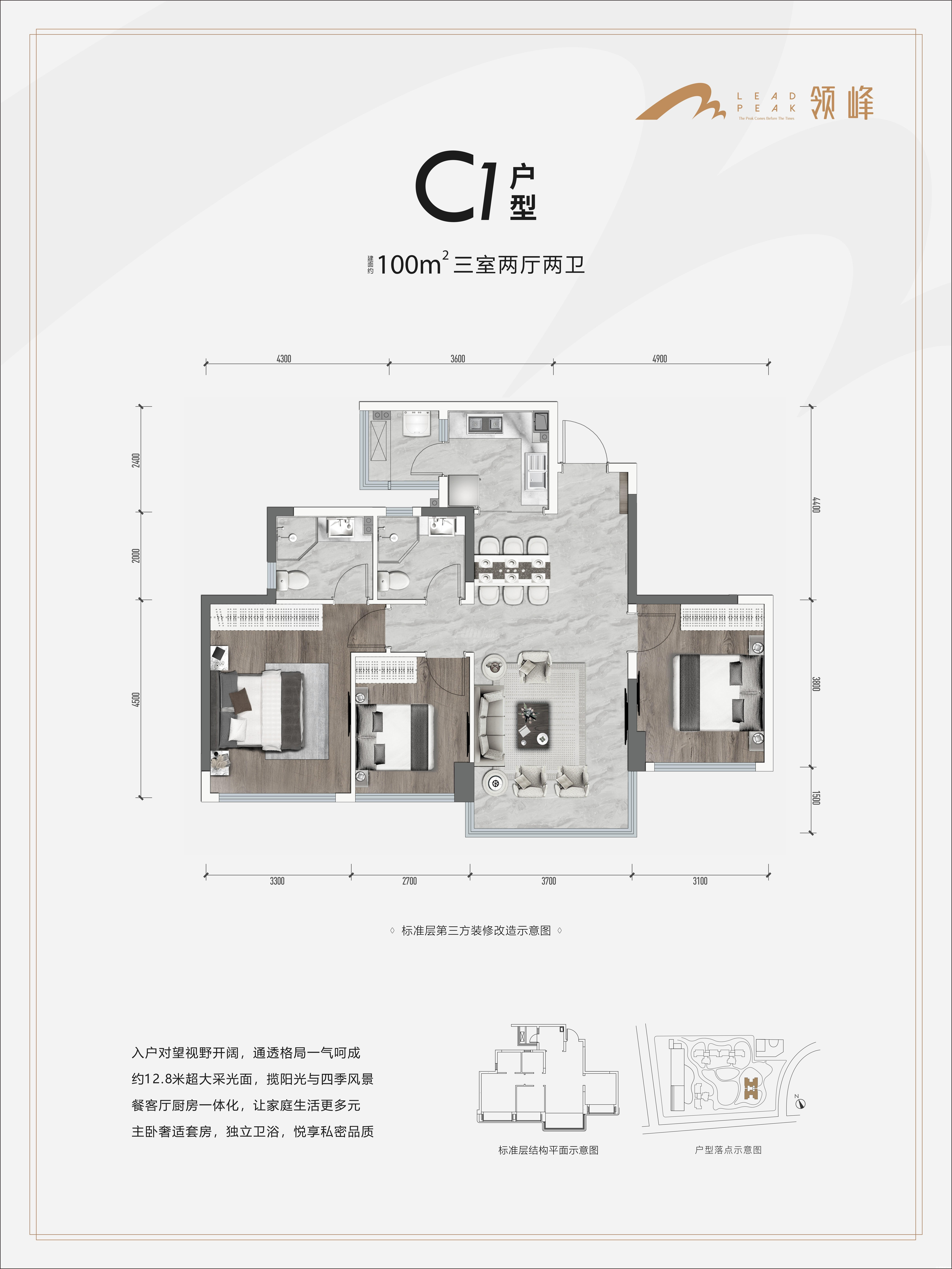 C1户型-100㎡户型图