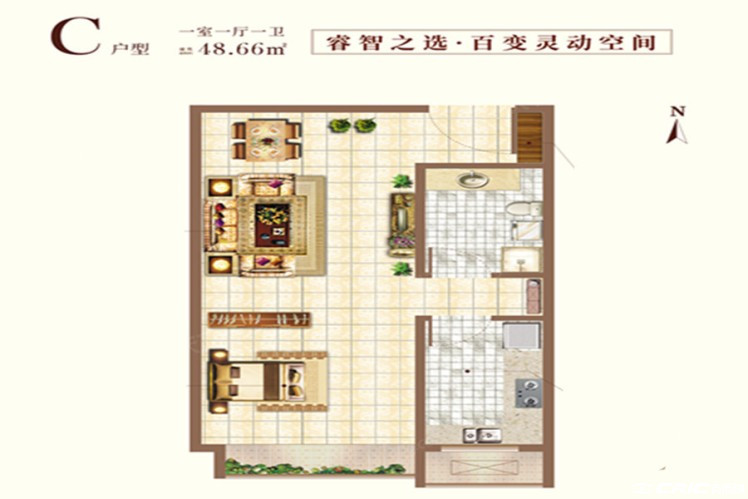 C户型图