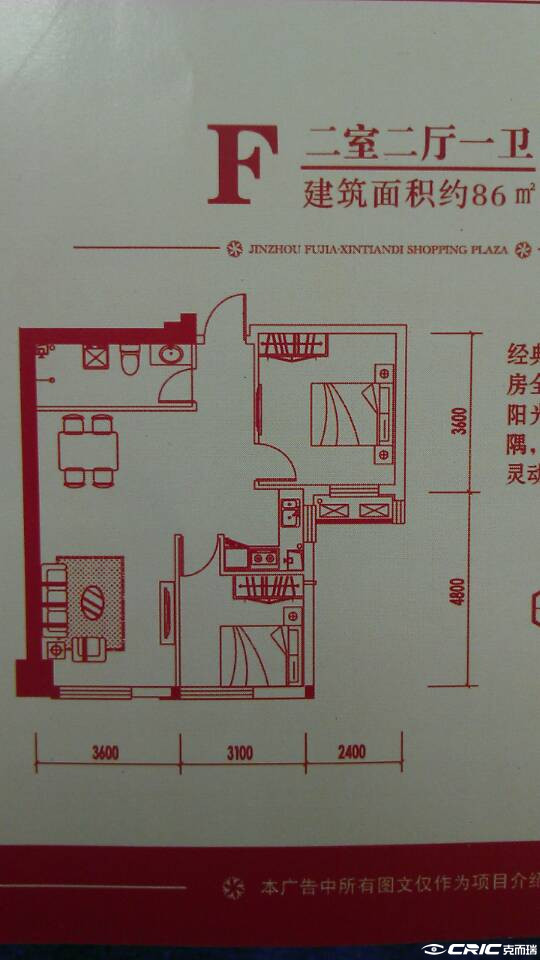 F户型图