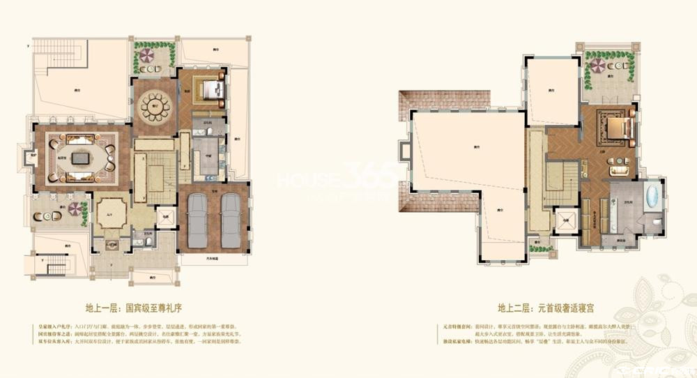 C户型图
