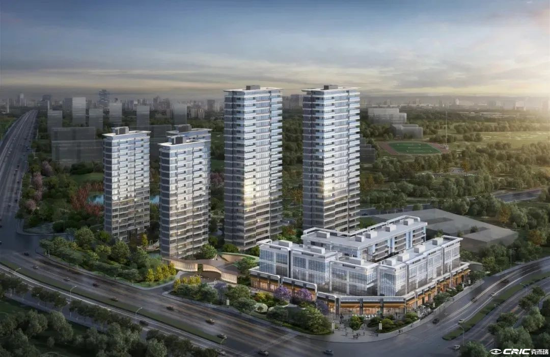 仁和春天银杏大道