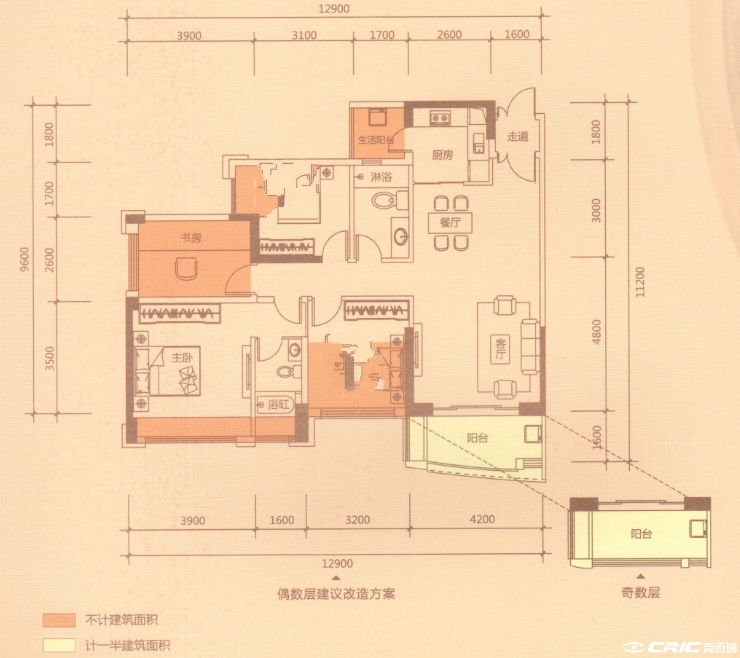 C户型图