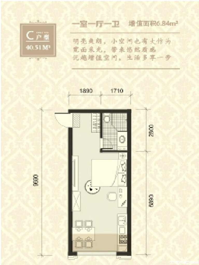 C户型图