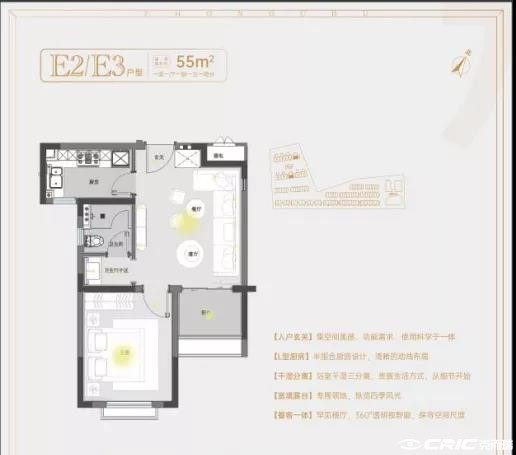 C户型图