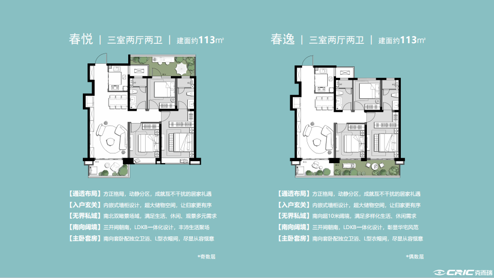 113户型户型图