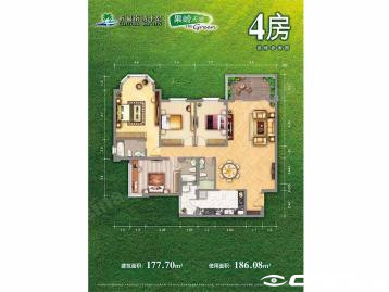 D1户型图