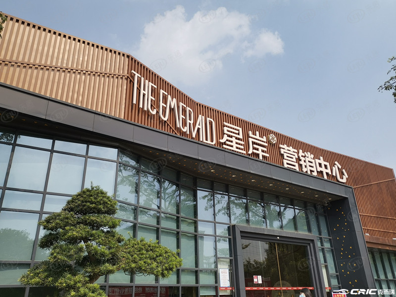THE EMERALD星岸 实景图