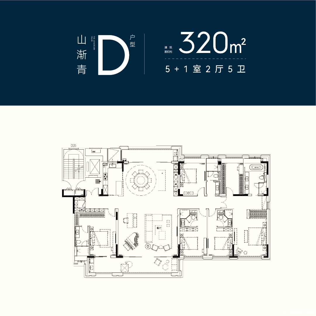山渐青 D户型320户型图