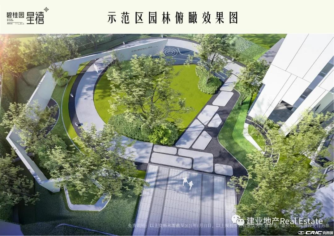 碧桂园星禧