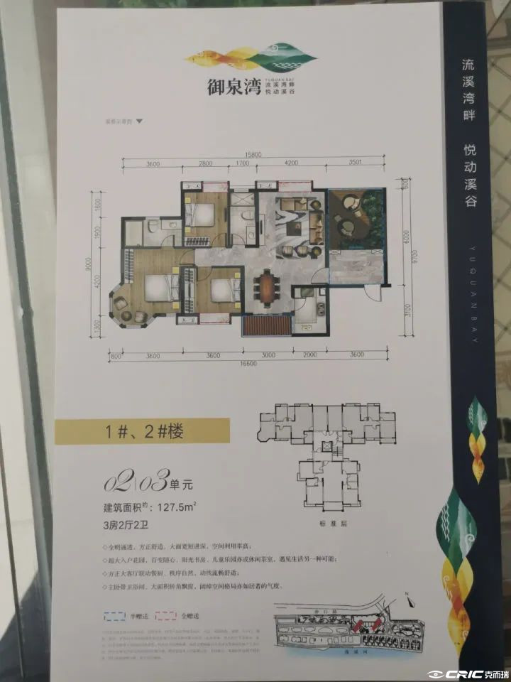 C户型图