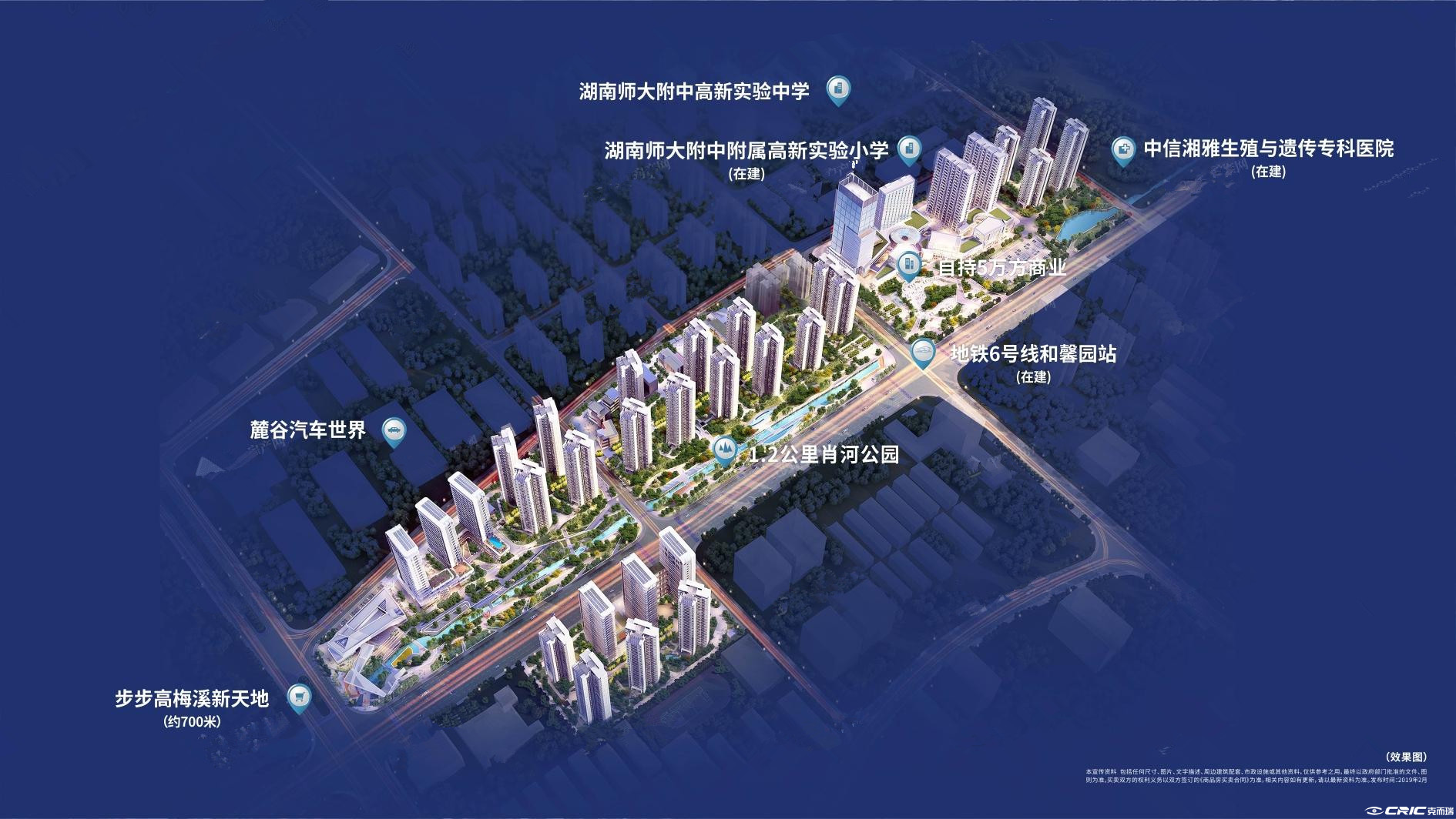项目效果图